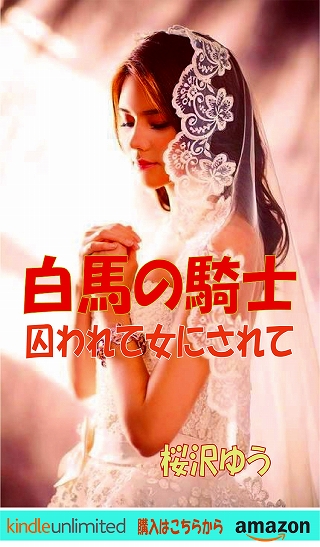 白馬の騎士：囚われて女にされて(TS小説の表紙画像)